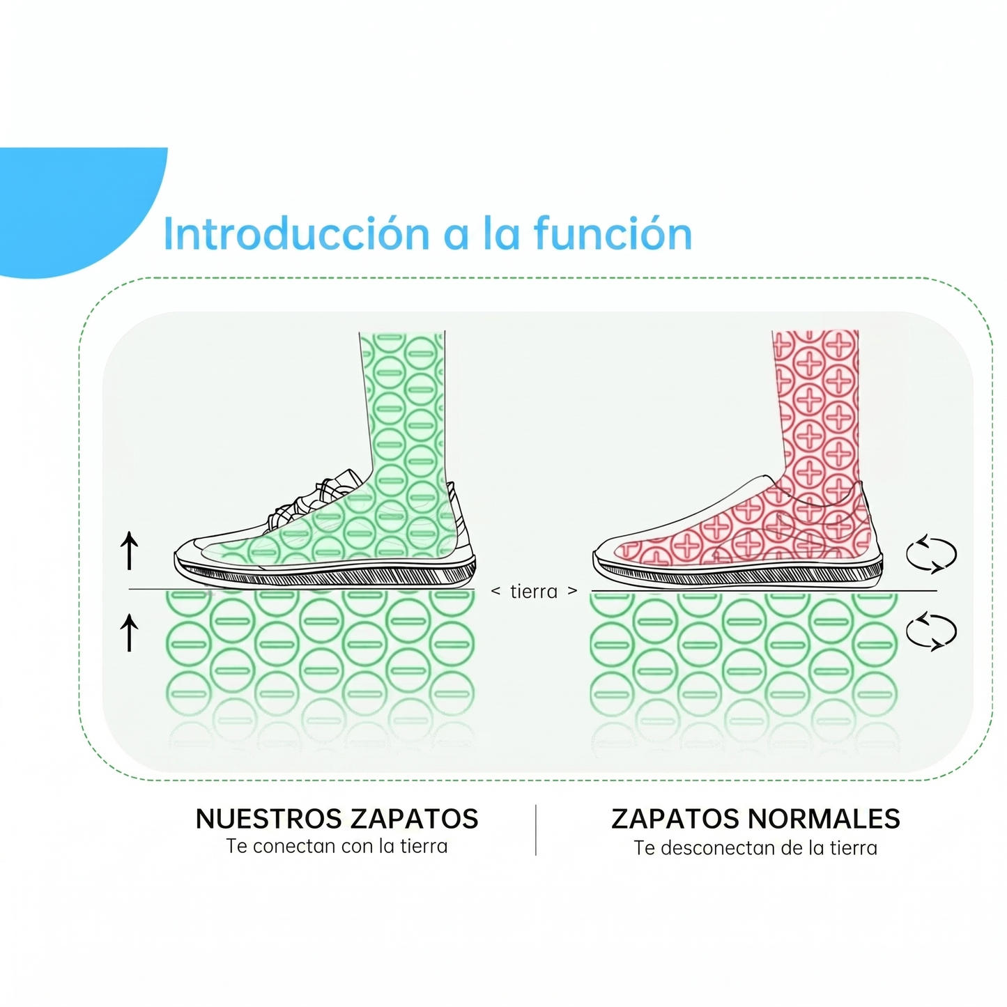 Barevora™ Barefoot Shoes